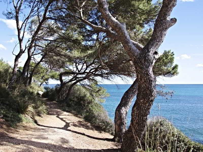 Cap Vermell Beach Hotel Canyamel  Eksteriør billede